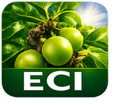 ECI badge